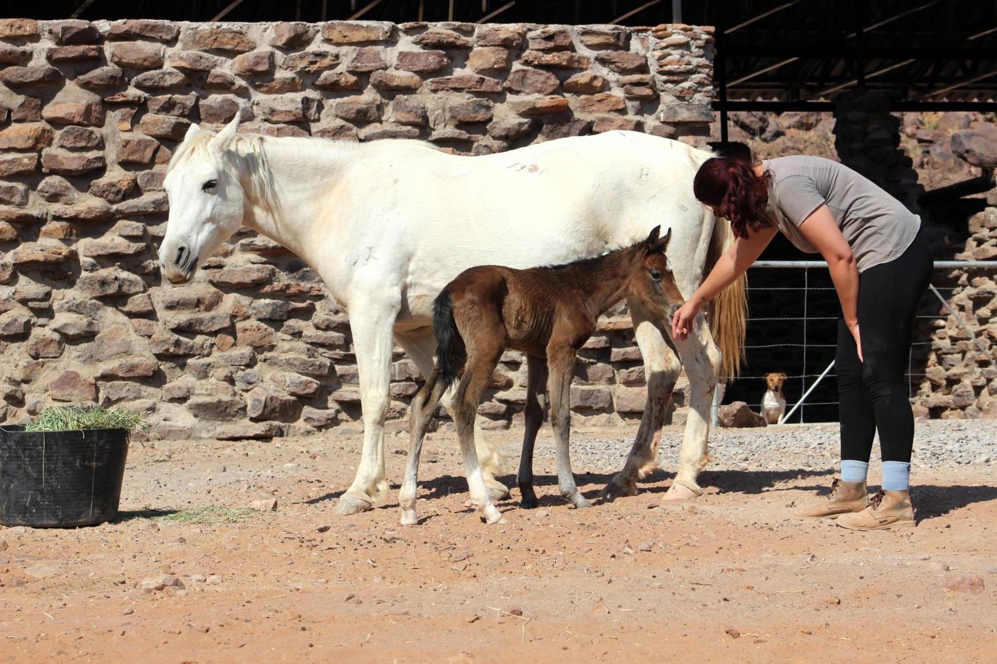 マルタヘーエThe Farm Life - Namibiaアパートメント エクステリア 写真